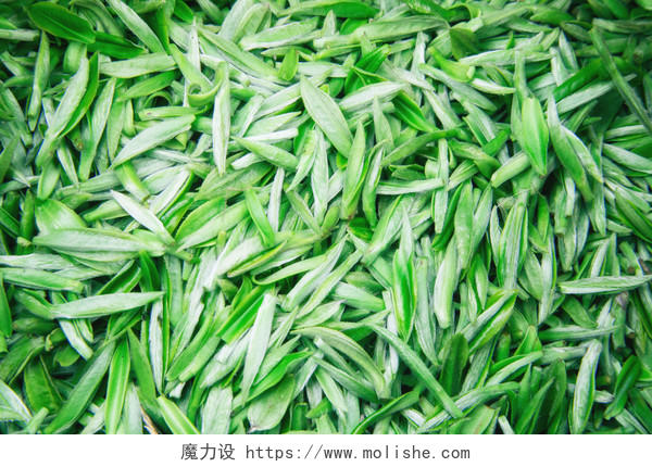 清明节春天绿色茶叶背景图片